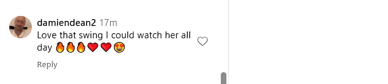 A screenshot of a fan's comment on LPGA's post - Source: Instagram@lpga_tour